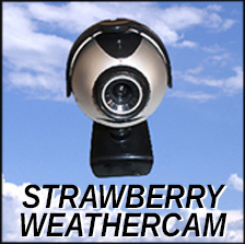 weathercam icon