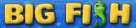 BigFish Logo