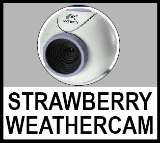 Web Cam